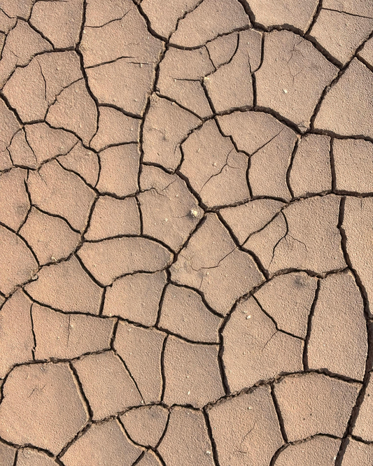 Zahncreme gegen Mundtrockenheit: Ursachen blockieren, Schleimhaut schützen